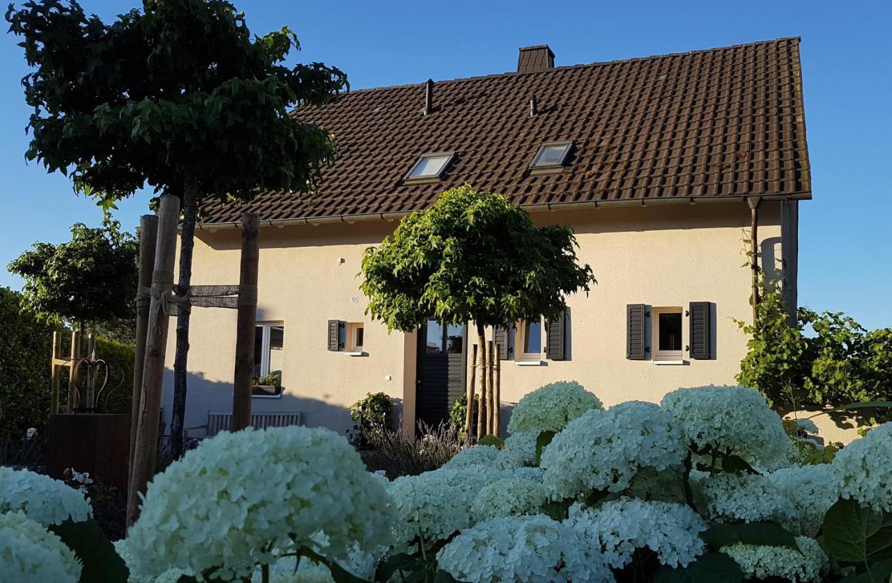 Billigheim-IngenheimGleisberg3 - Suedliche Weinstrasse公寓 外观 照片